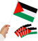 Lot de 10 petits drapeaux palestiniens de 12,7 x 20,3 cm avec mât, couleurs vives, sans couleurs vives, drapeau palestinien sur bâtons pour décoration extérieure