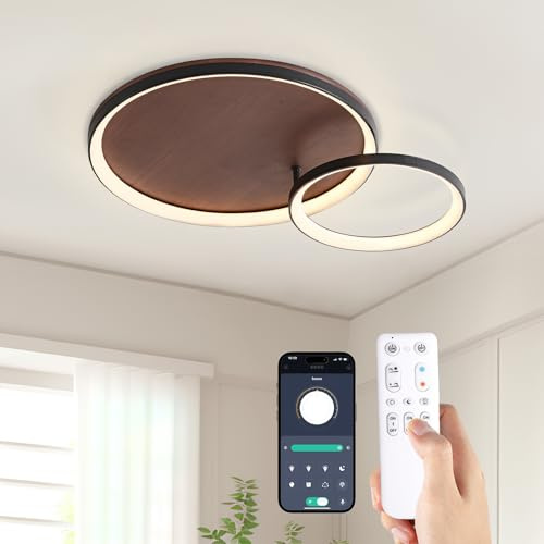 Modern LED-taklampa dimbar, Modern vardagsrumslampa med fjärrkontroll, 3000K-6000K, geometrisk multifunktionell takbelysning, 28W/42cm Rund