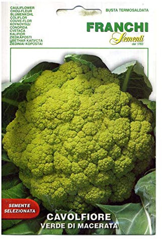 FRANCHI SEMENTI SEMENTI DI ORTAGGI DI QUALITA' PER USO HOBBYSTICO IN BUSTINA TERMOSALDATA (CAVOLFIORE VERDE DI MACERATA)