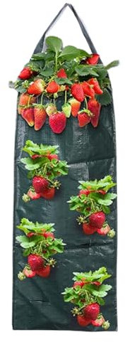 Borsa per piantare patate – Borse per piante | Grandi vasi in tessuto | Borse | Crescere le piante | 8 fori traspirante vaso da giardinaggio verticale per balcone recinzione esterna