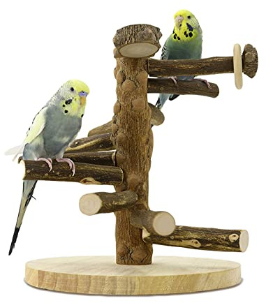 WishesMar Parco Giochi per Pappagallo Palestra per Uccelli Terreno di Gioco per Cocorite con Posatoi Supporto pour Cacatua, Legno, Taglia 24.5x22x22 CM