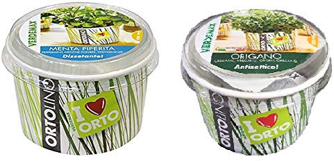 Todo Cultivo Kit de plantación de Semillas Menta Y Oregano