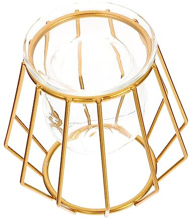 GRIRIW Hydroponische Vase Mit Stylischem Geometrischem Eisenrahmen Praktischer Pflanzkübel Für Blumenarrangements Nachhaltiger Desktop-blumentopf Für Büro Und Wohnraumdeko