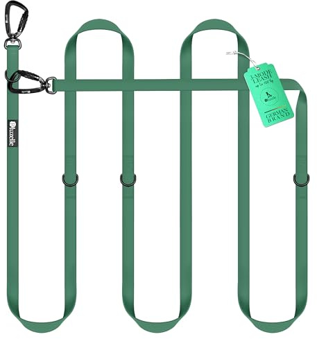 BLUZELLE Laisse Chien 3m Imperméable, Longe Biothane PVC Ajustable Réglable pour 2 Chiens, Mains Libres, 2X Grand Mousqueton 360° en Aluminium Extra Solide, Couleur: Vert