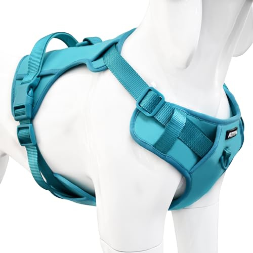 AIITLE Harnais Confortable pour la Promenade – Gilet léger avec 2 Attaches de Laisse, réglable et Anti-Traction pour Chiots et Petits Chiens Bleu XS