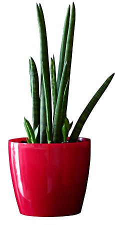 Pot de Fleur Rond Cache Pot en Plastique Jardiniere pour Plantes PlantesExterieures et Interieures Pot Brillant Rouge D 360 mm H 316 mm