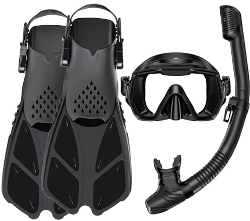 HH HHAO SPORT Schnorchelset Erwachsene mit Flossen,Schnorchelausrüstung in Reisegröße mit Kurzen Verstellbaren Schwimmflossen, Hochwertige Tauchermaske und Dry Top Schnorchel, mit Tragetasche