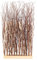 WEIDENBÜNDEL Twigs | 78x40cm, Weidenholz | Natur Sichtschutz, Zweige Stellwand, Äste Trennwand, Raumtrenner, Deko Gras, Weiden Zweige Deko