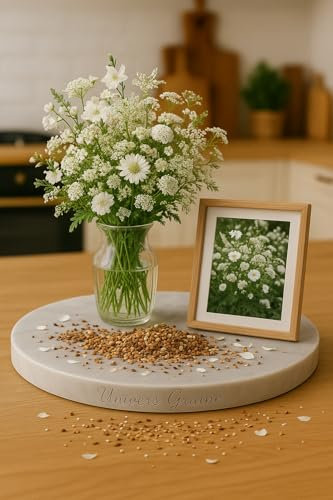 200 Graines - Mélange de Fleurs Sauvages Blanches – 14 Espèces Variétées différentes - Fleurs Blanches Jardin - 389