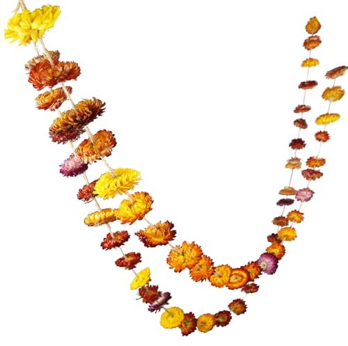 CEWUDA 1 Raliccio di Crisantemo Essiccato Dried Flowers Ghirlanda di Fiori Secchi 210cm Viti Fiori di Gerbera Crisantemo Naturale Margherita Girasoli Ghirlanda Floreale per Decorazioni Cimitero Festa