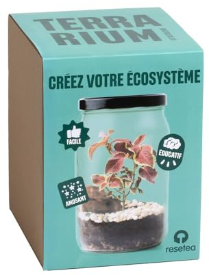Resetea TR1 Terrarium-Kit di Coltivazione a casa