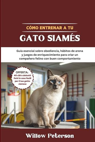 Cómo entrenar a tu gato siamés: Guía esencial sobre obediencia, hábitos de arena y juegos de enriquecimiento para criar un compañero felino con buen comportamiento