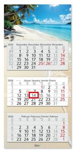 Timr calendario 3 mesi 2026 - calendario da parete 3 mesi con cursore - 70 cm calendario trimestrale multilingue DE/GB/FR/ES | motivo spiaggia con palme e mare | tr327