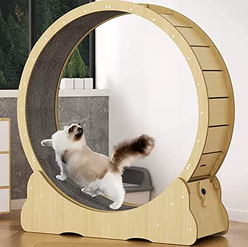 Löpband för katter, Löpband for katt inomhuskatter, svart löphjul for