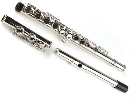 17 Löcher, Geschlossenes Loch, C-Taste, Konzertflöte, Holzblasinstrument Mit Weißen Handschuhen Und Gepolsterter Tasche Querflöte kit