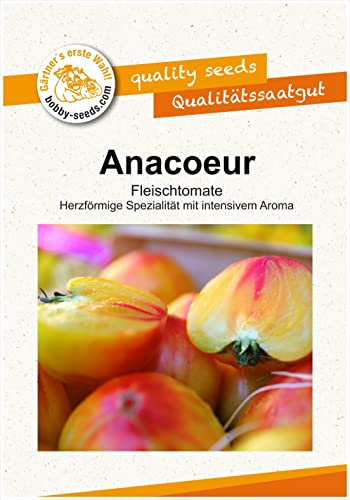 Tomatensamen Anacoeur Ananastomate Portion