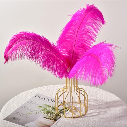 QBilooty 30 Pezzi Piume di Struzzo Decorative, per Abiti, la Decorazione della Casa e del Matrimonio, Vasi DIY, Lunghe (Fucsia)