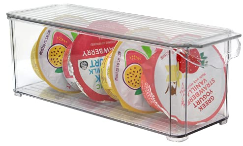 Plastic Food Storage Container Bin with Lid and Handle for Kitchen, Pantry, Cabinet, Fridge, Freezer - Organizer for Snacks, Produce, Vegetables