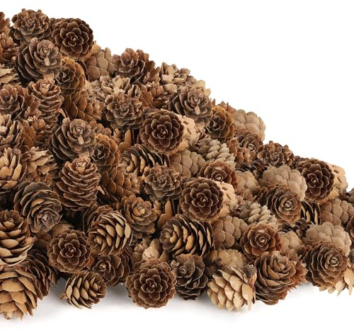 100 Pack Pine Cones, Mini Natural Pine Cones for Christmas Tree, 1.18 in Mini Pinecone Ornaments, Christmas Wreath Craft, Winter Decorations for Home Fall Decor Vase Filler