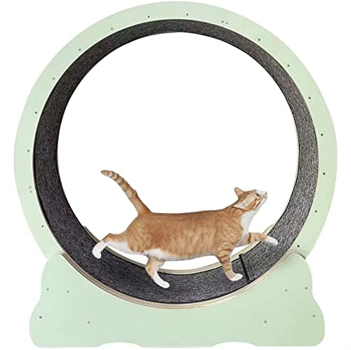 Löpband för katter, Löpband for katt inomhuskatter, svart löphjul for