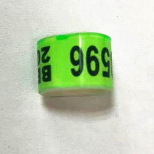 100 * 8mm Customized Racing Pigeon Club loft Band Ring Combination BELG Flag Racer (Green)