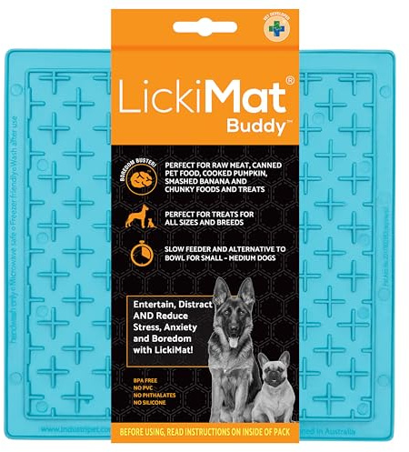 Lickimat Buddy Dog Türkis, 1 Stück (1er Pack)