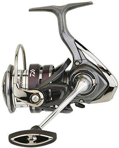 Angeln Daiwa Exceler LT 3000-C