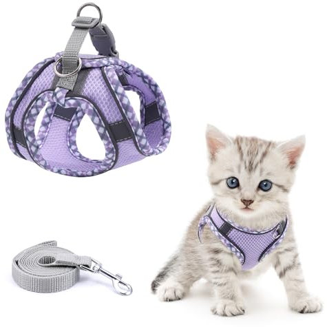 Brifit Katzengeschirr mit Leine Ausbruchsicher, Katzenleine mit Softgeschirr für Katzen, Verstellbar Weich Kätzchenweste mit Reflektierenden Streifen, Cat Harness [XXS] Anwendbares Gewicht: 2-3kg