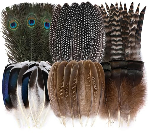 Holmgren 48pcs Natural Feathers Bulk - 6 Styles Assorted Peacock, Pheasant, Turkey Feathers for Craft DIY Jewelry Hat Wedding Home Party Decoration