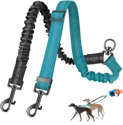 1Pcs Laisse pour 2 Chiens Double pour Petits Laisse Double pour 2 Chiens,sans enchevêtrement, 360° rotative, réfléchissante d'entraînement pour Petits, Moyens et Grands (Noir+Bleu).