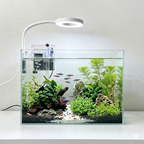 Nano Aquarium kit, Small Betta Fish Aquarium, 2.2 Gallon Rimless Glass Fish Tank with Filter, Light, and Aquascaping Decorations (Transparent, Complete)