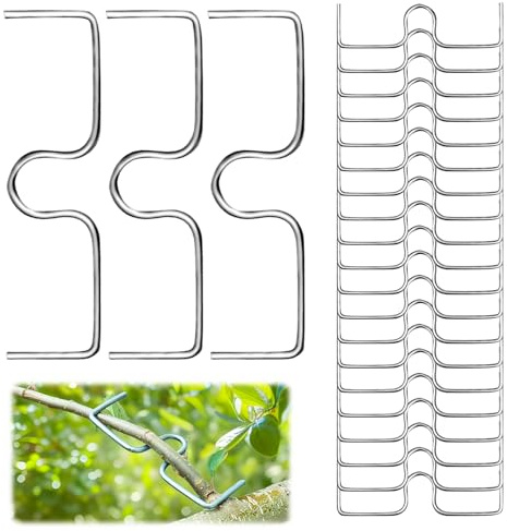 20 PCS Épandeur de Branches d'arbre, Arbre Branche extracteur, écarteurs de Branches en Forme de M, Support Arrache-Branches, Arbres Branches Fixateur, Branches Fruitières pour Soutenir La Croissance