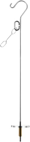 Bird Food Skewers - Fruit Stick Holder Snack Door Stainless Steel | Decorative Toy Cage, Parrocchetti Couple, Calopste, with Inseparable and Inseparable