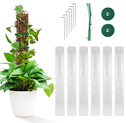 Moosstab Rankhilfe Zimmerpflanzen, 6 Stück 24 Zoll Plastik Pflanzenhalter Pflanzen Zubehör, mit 2m Pflanzenbänder Klett & Bodennägel, für Monstera Kletterpflanzen