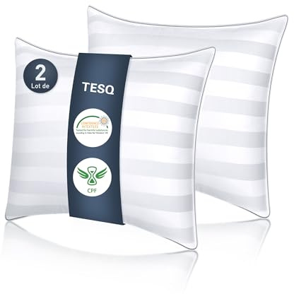 TESQ Oreiller 65x65 cm Lot de 2 Oreillers Confort Moelleux, Qualité Hôtelière de Luxe, Respirant et Hypoallergénique, Idéal pour Dormeurs sur Le Côté, Le Dos et Le Ventre, Lavable