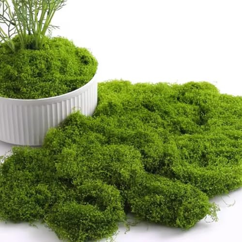 YHTCC 100g Artificial Moss Fake Moss For Crafts