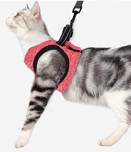 Crea CLEA - Pettorina per gatti ultra leggera e confortevole,con guinzaglio. (M, Rosso)