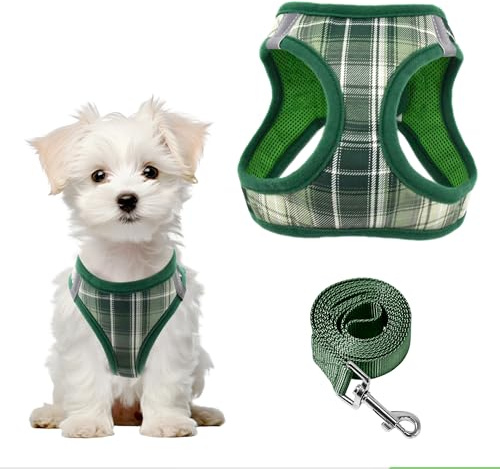 Pawsailor Step-in Pettorina Cane Taglia Piccola con Guinzaglio Anti-tiro Riflettente Pettorina per Cani Regolabile Morbida Rete Traspirante Motivo a Quadri Imbracatura per Cuccioli Gatti, Verde S