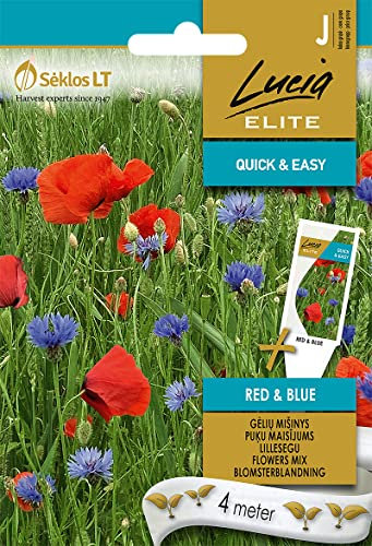 Lucia Elite | MÉLANGE DE FLEURS RED&BLUE Graines | Graines de Fleurs | Graines de Plantes | Graines de Jardin | 1 Paquet