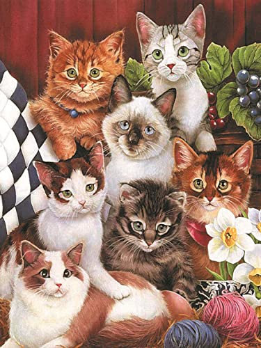 Jigsaw Puzzles for Adults 500 Piece Cats 20.5 x 15 Inch Jigsaw Puzzles for Adults Educational Game Challenge Toy 500 Pieces Puzzles for Adults Kids