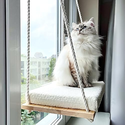 Hamaca Gato Ventana Colgante | Cama para Gatos Accesorios | Hamaca para Gatos | Cat Bed | Cama Gato Ventana | Hamaca Ventana Colgante | Cama Cao | Kittybay | Desk Cat Bed | Cama para felino