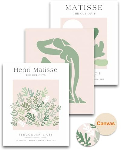 HesenDot Unframed 30x40CM Matisse Sage Green Wall Art Set of 3