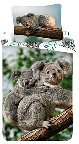 Bettwäsche Set Koala mit Baby in Wildnis auf Eukalyptusbaum Bettdeckenbezug 140 x 200 cm, Kopfkissenbezug 70 x 90 cm, 100 % Baumwolle, für Kinder Teenager Erwachsene