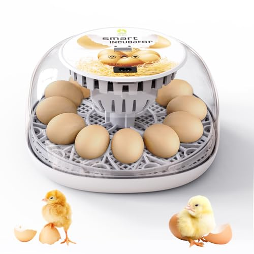 Ruaizel Egg Incubators, Automatic Chicken Incubator with 12 Hatching Eggs, Egg Incubators for Hatching Eggs for Small Poultry, Chickens, Ducks (Water bottle not included)