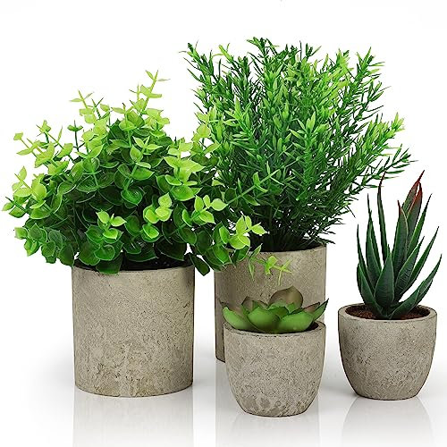 Belle Vous Pack de 4 Plantas Artificiales Decorativas en Macetas para Interior - Eucalipto, Sansevieria y Suculenta - Plantas Decorativas Artificiales Oficina, Escritorio / Mesa, Dormitorio o Cocina