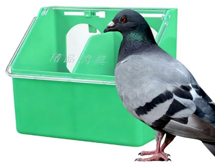 para Aves Exterior,Dispensador con Doble Salida - Dispensador de Alimento para Aves Mascota - para Periquitos Codornices Loros de Corral Gallinas Interior Exterior