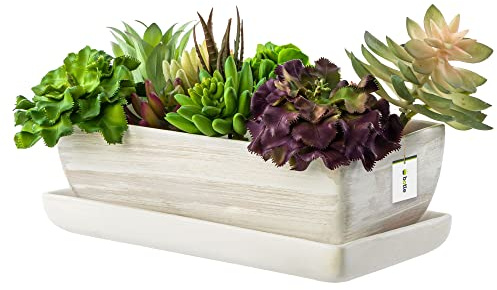botle Keramisk blomkruka blomkruka kaktus spot underlägg vattenhål kaktus bonsai suckulenter (rektangulär, ljusgrå)