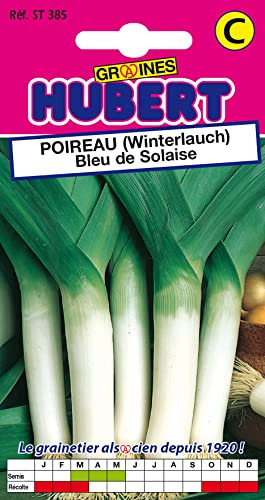 Graines de Poireau Bleu de Solaise - 3 grammes