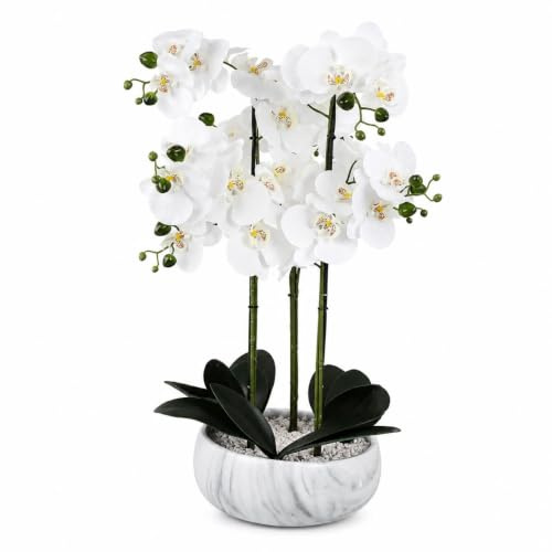 Botanik Realistic Artificial Orchid Plants Fully Potted