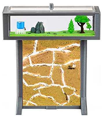 AntHouse - 3D Ameisenfarm aus Sand | Grau T Kit 15x15x1,5 cm | Inklusive Ameisen